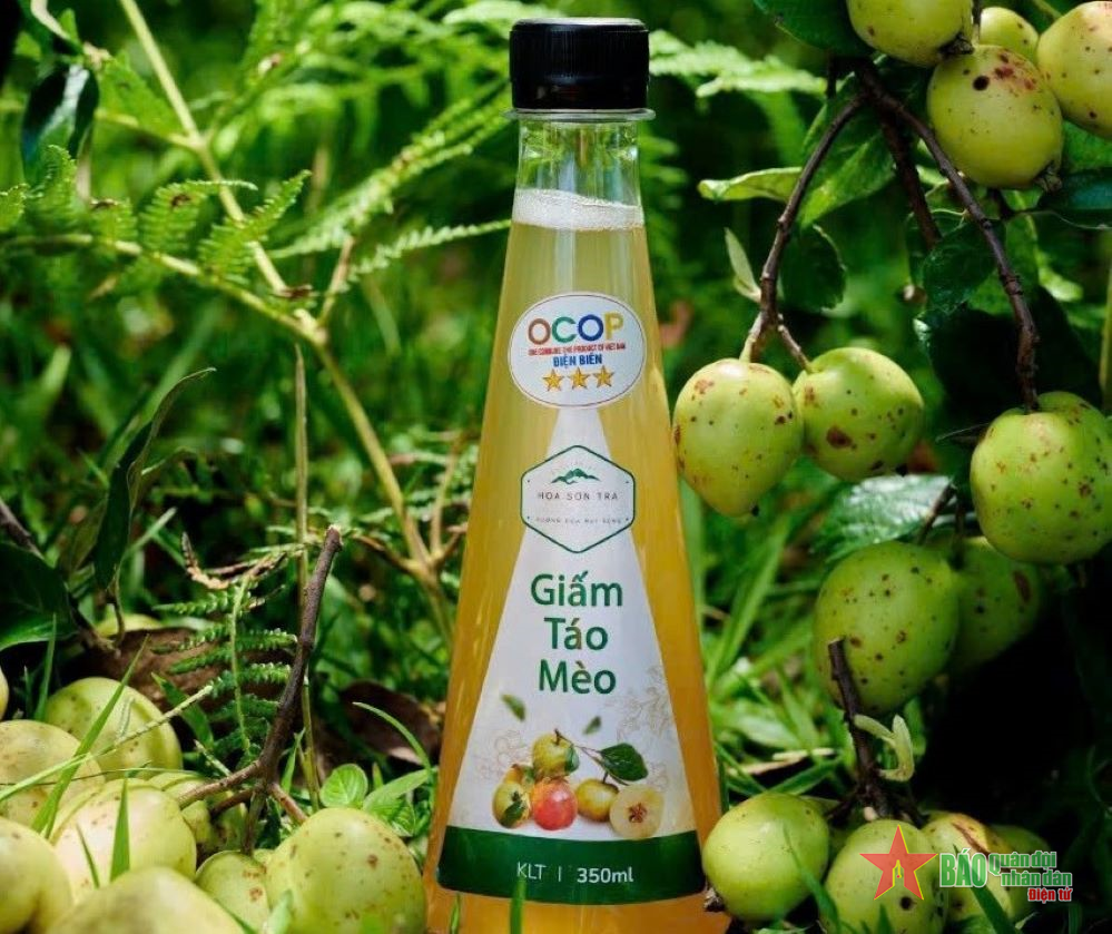 “Đại sứ OCOP” trên miền Tây Bắc